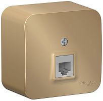 Розетка телефонная накладная Systeme Electric Blanca 1-м. RJ11 титан картинка